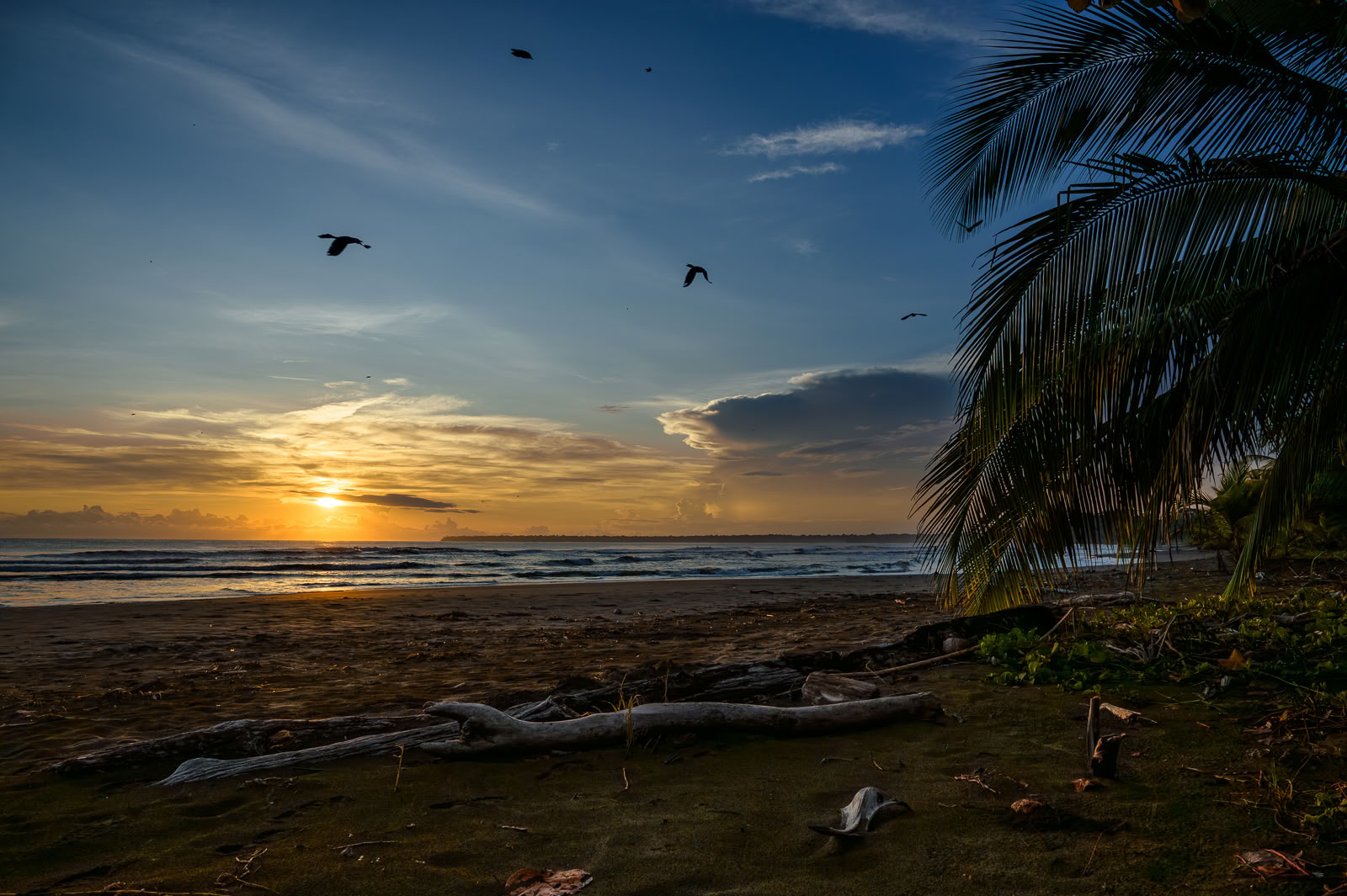 Home Sanctuary Ayahuasca Retiro – 3 - 10 October