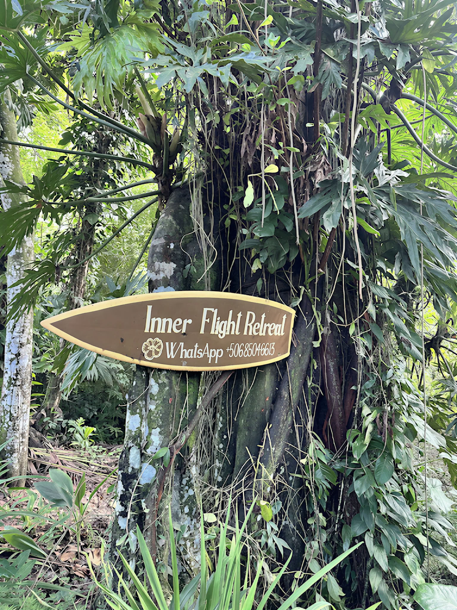 Home Sanctuary Ayahuasca Retiro – 21-28 November