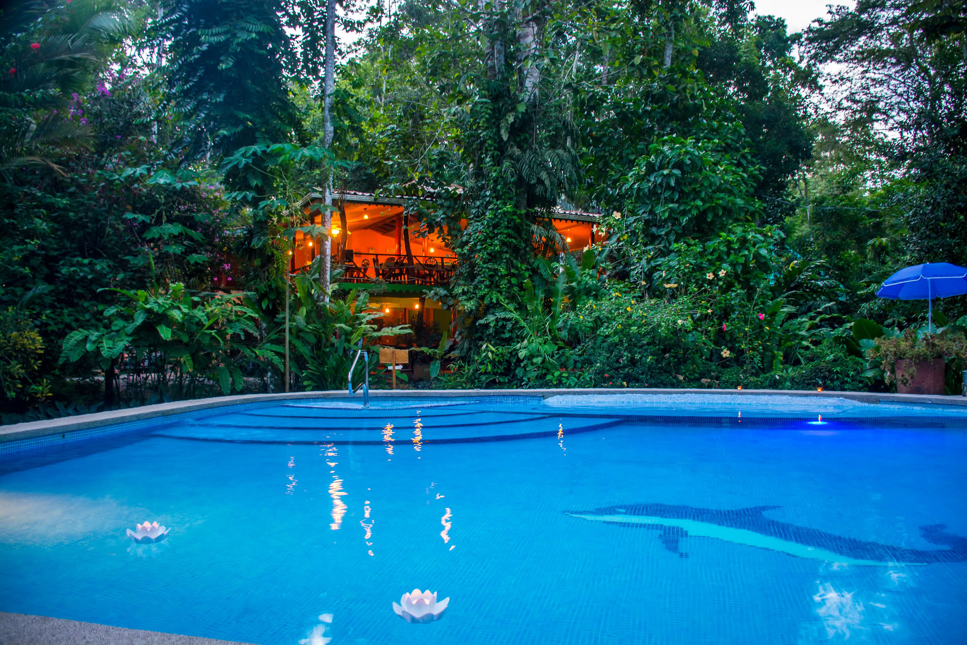 Retiro de Sanación Shipibo