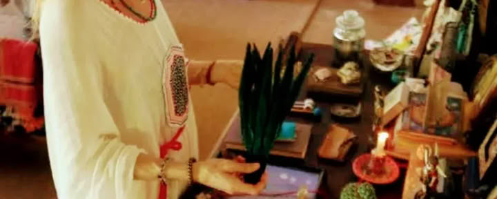 Retiro Privado de Ayahuasca de 4 Días