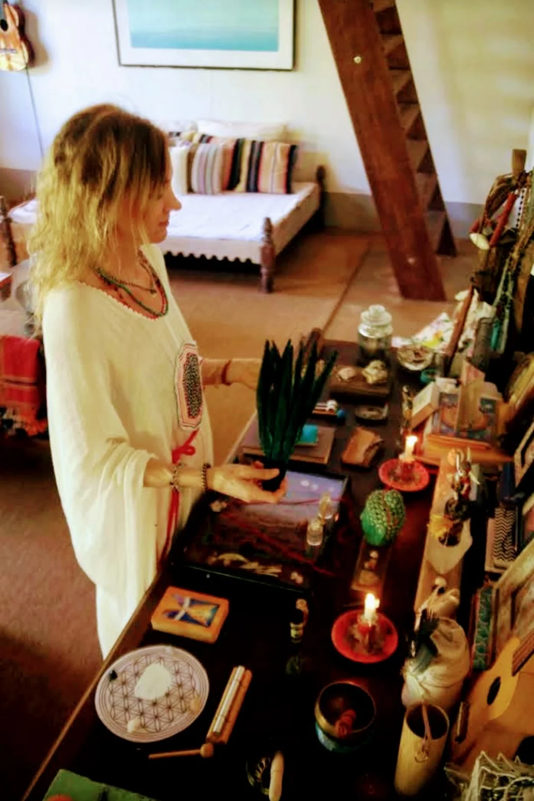 6 Day Ayahuasca Private Retiro