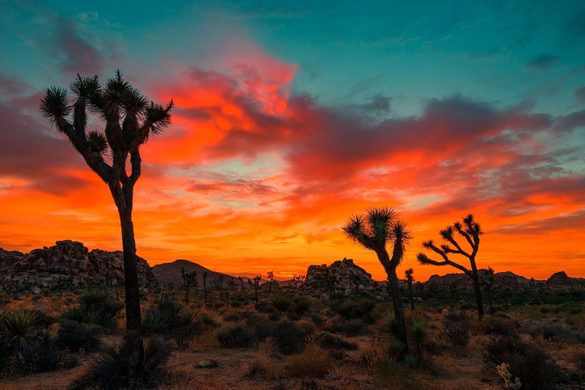 El viaje transformador por el desierto