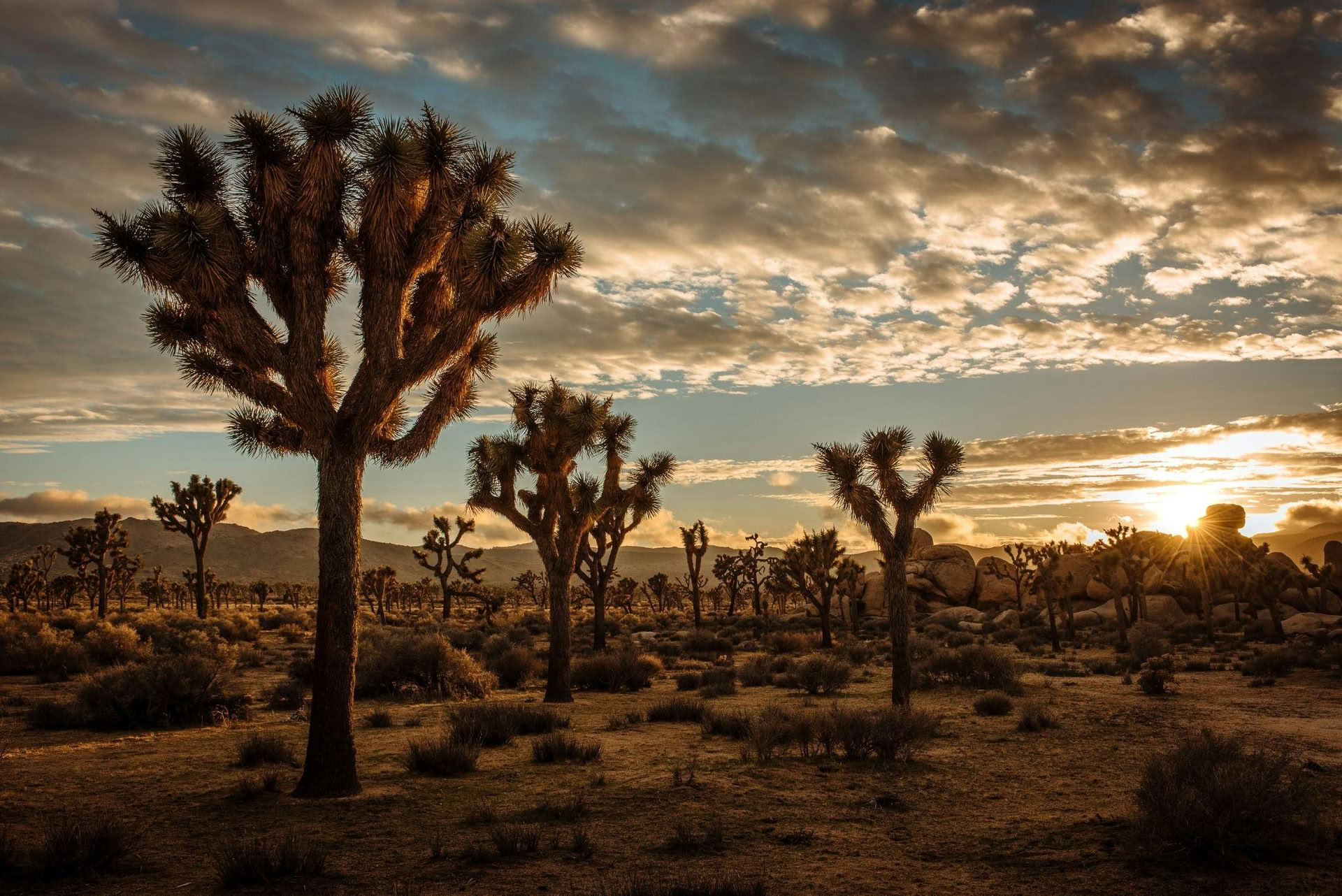 El viaje transformador por el desierto
