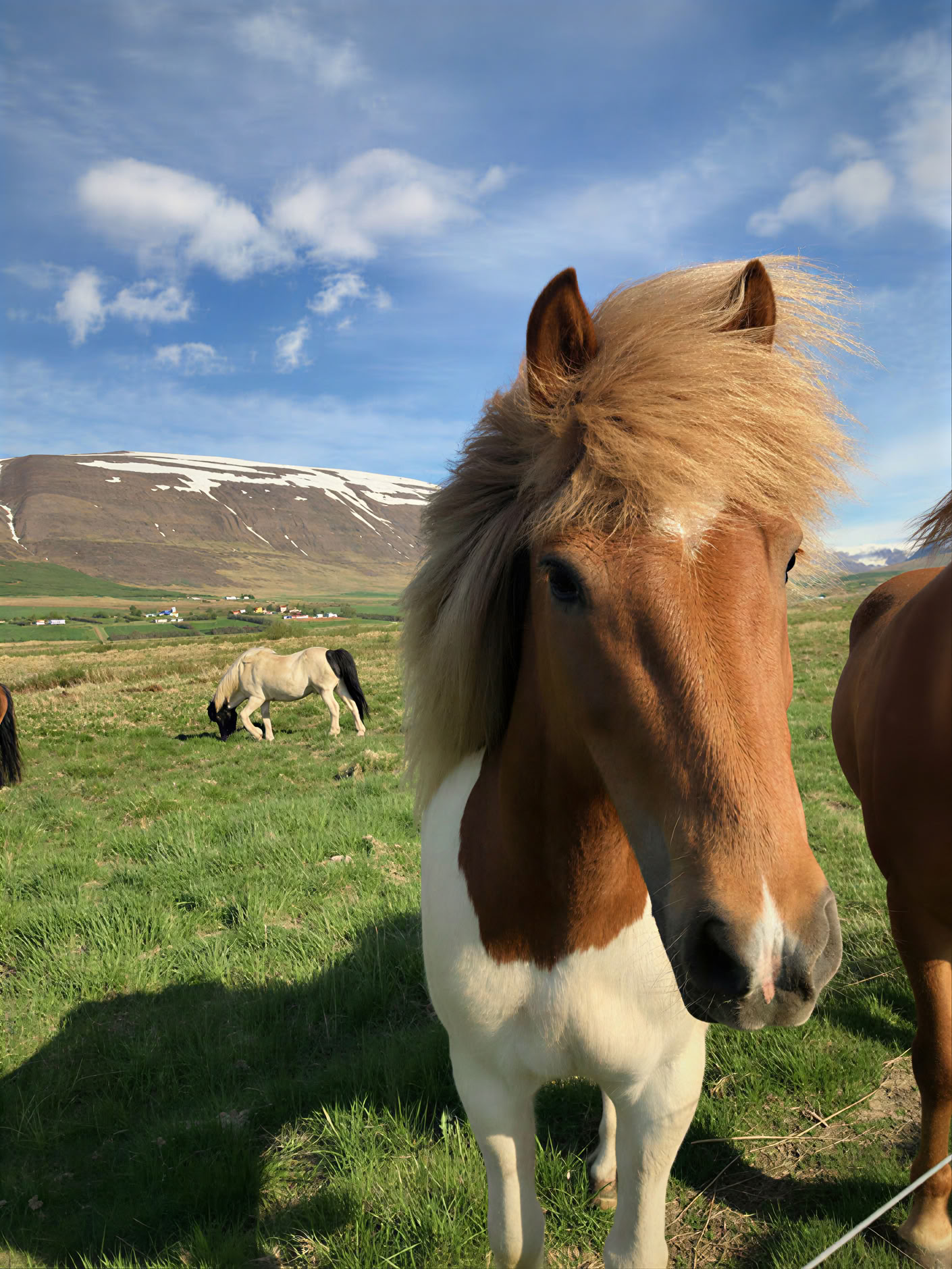 Yoga & Hiking Midnightsun Retiro en Islandia – Fechas 2025
