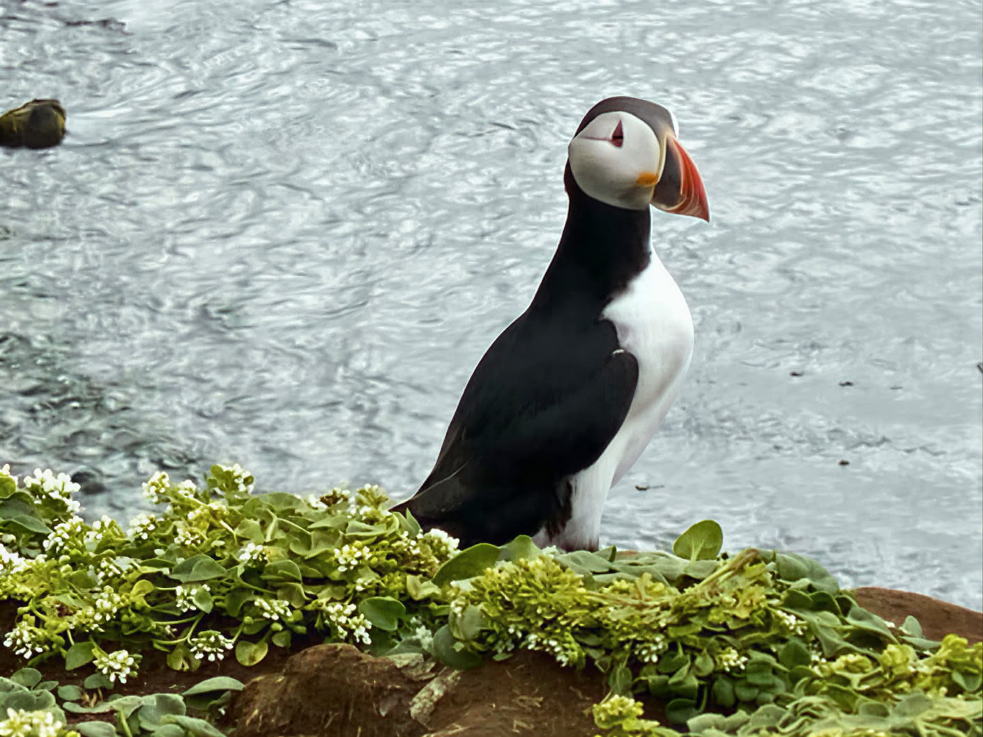 Yoga & Hiking Midnightsun Retiro en Islandia – Fechas 2025