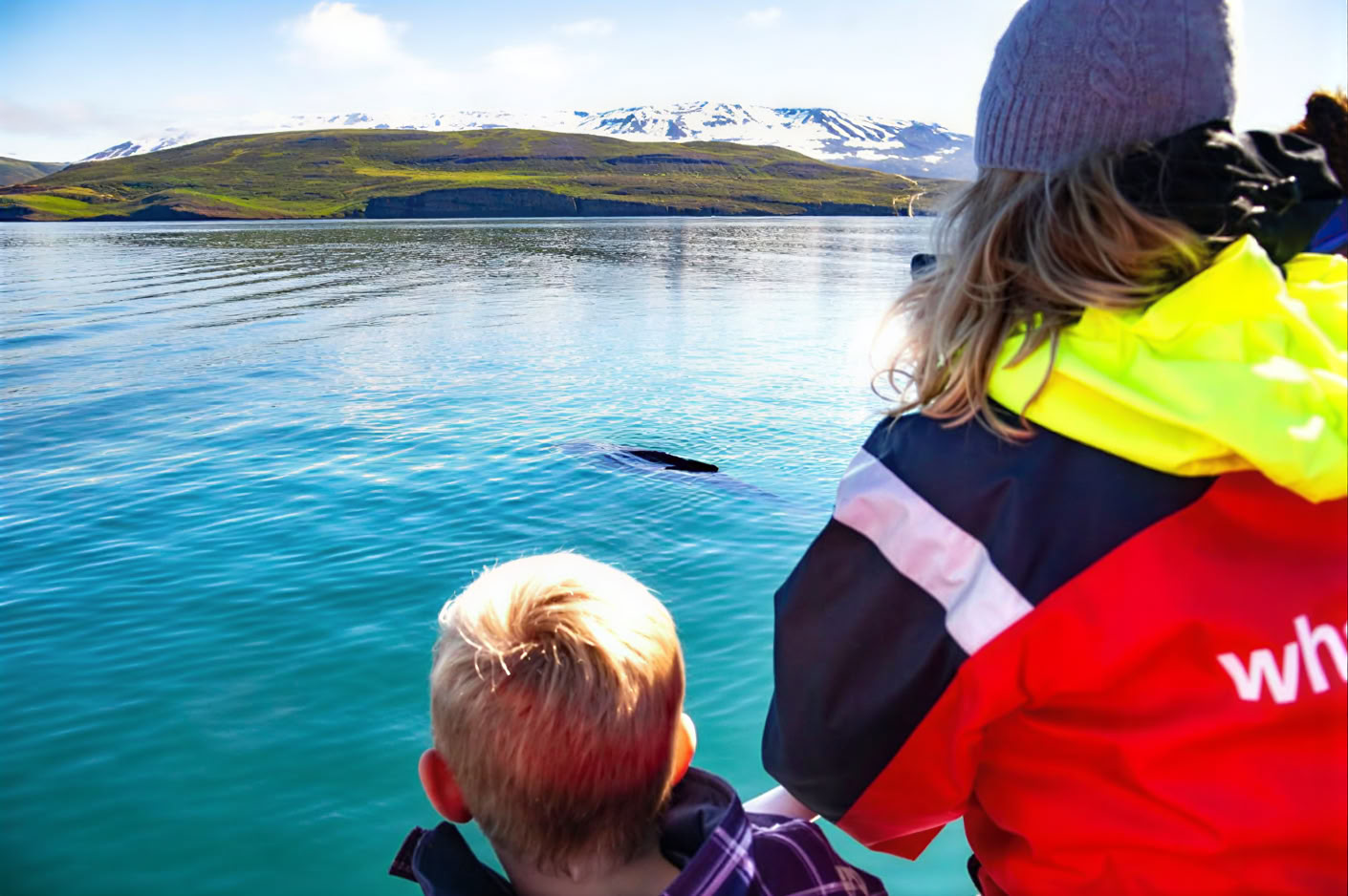 Whale Watching – 100% Whale Watching