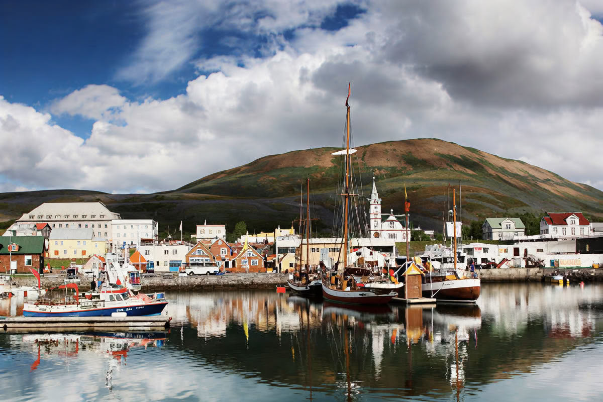 Avistamiento de ballenas en Akureyri