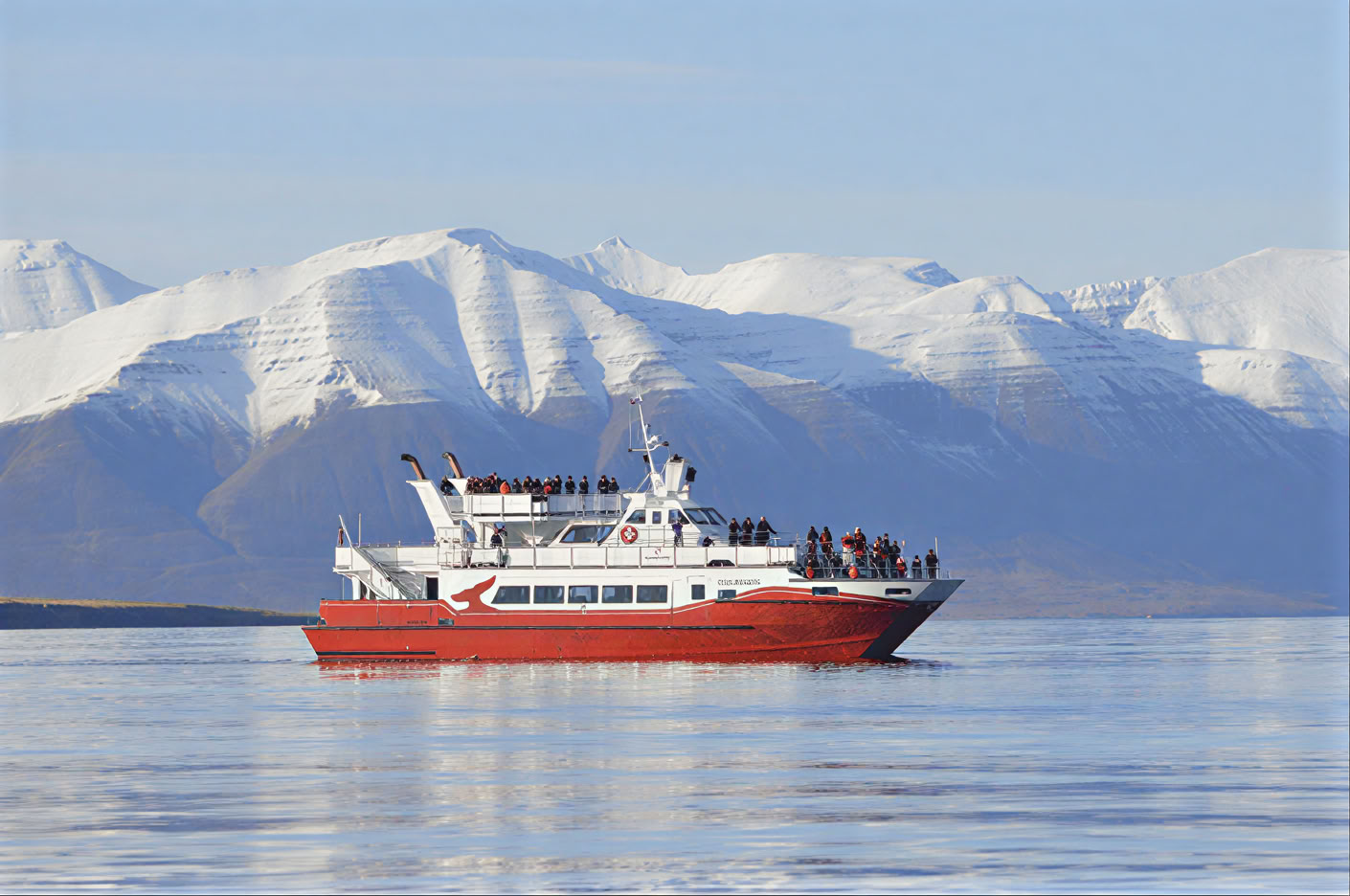 Avistamiento de ballenas en Akureyri