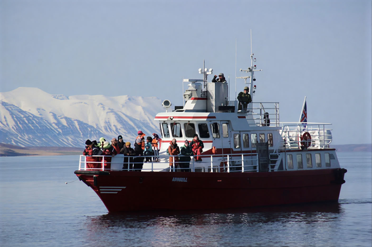 Avistamiento de ballenas en Akureyri
