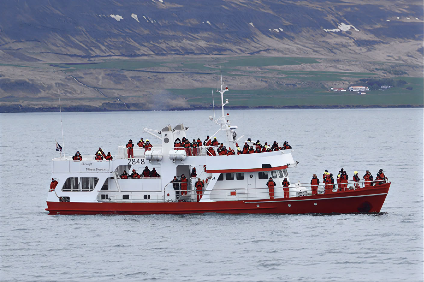 Avistamiento de ballenas en Akureyri