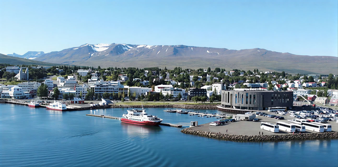 Avistamiento de ballenas en Akureyri