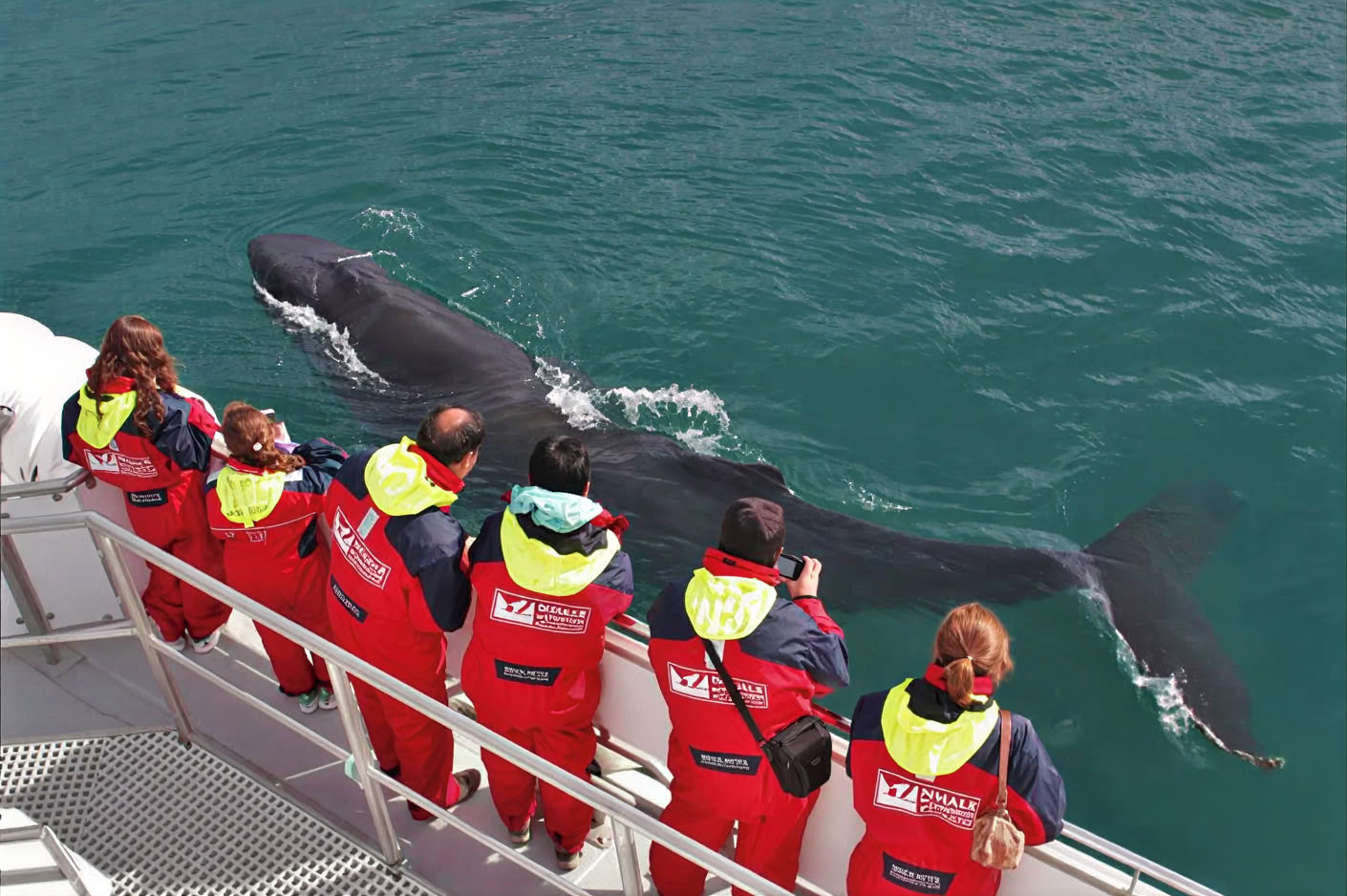 Avistamiento de ballenas en Akureyri