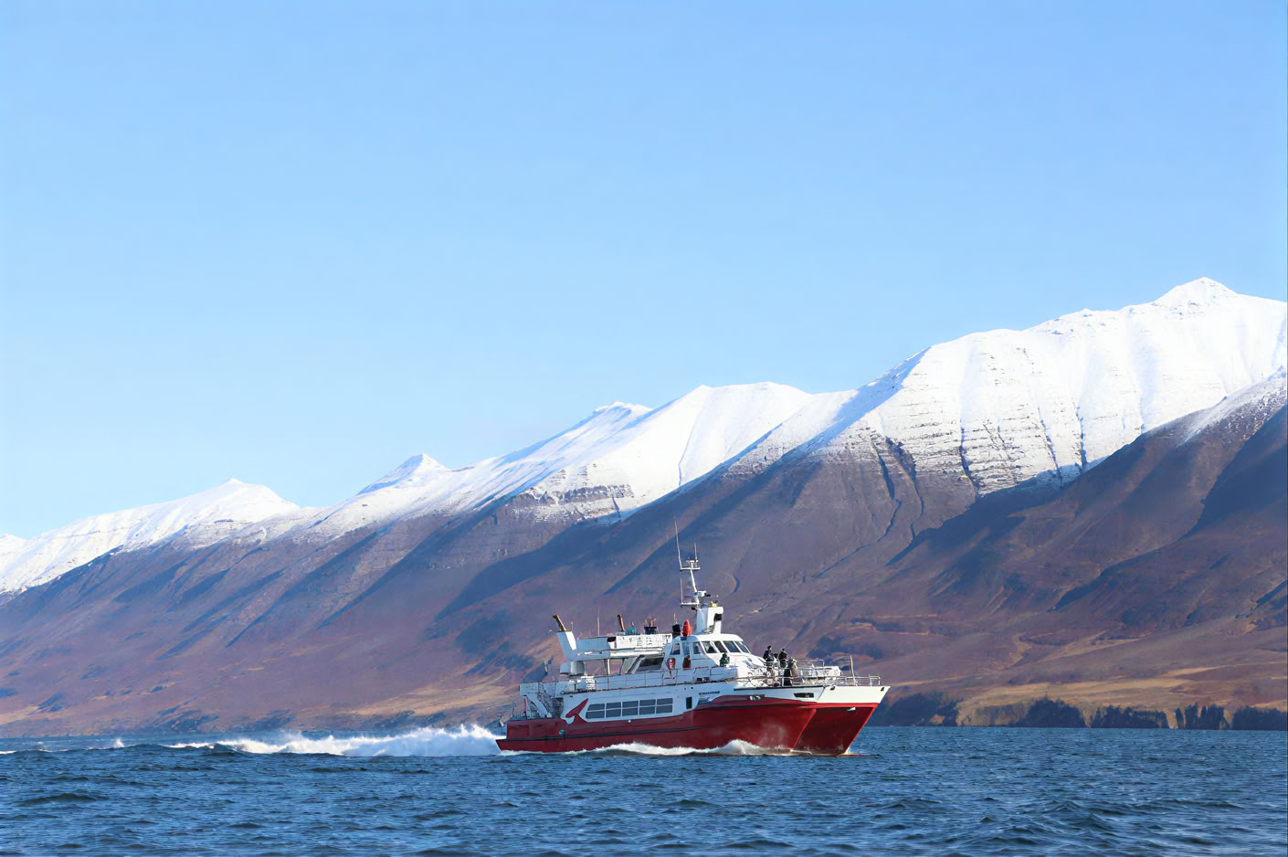 Avistamiento de ballenas en Akureyri