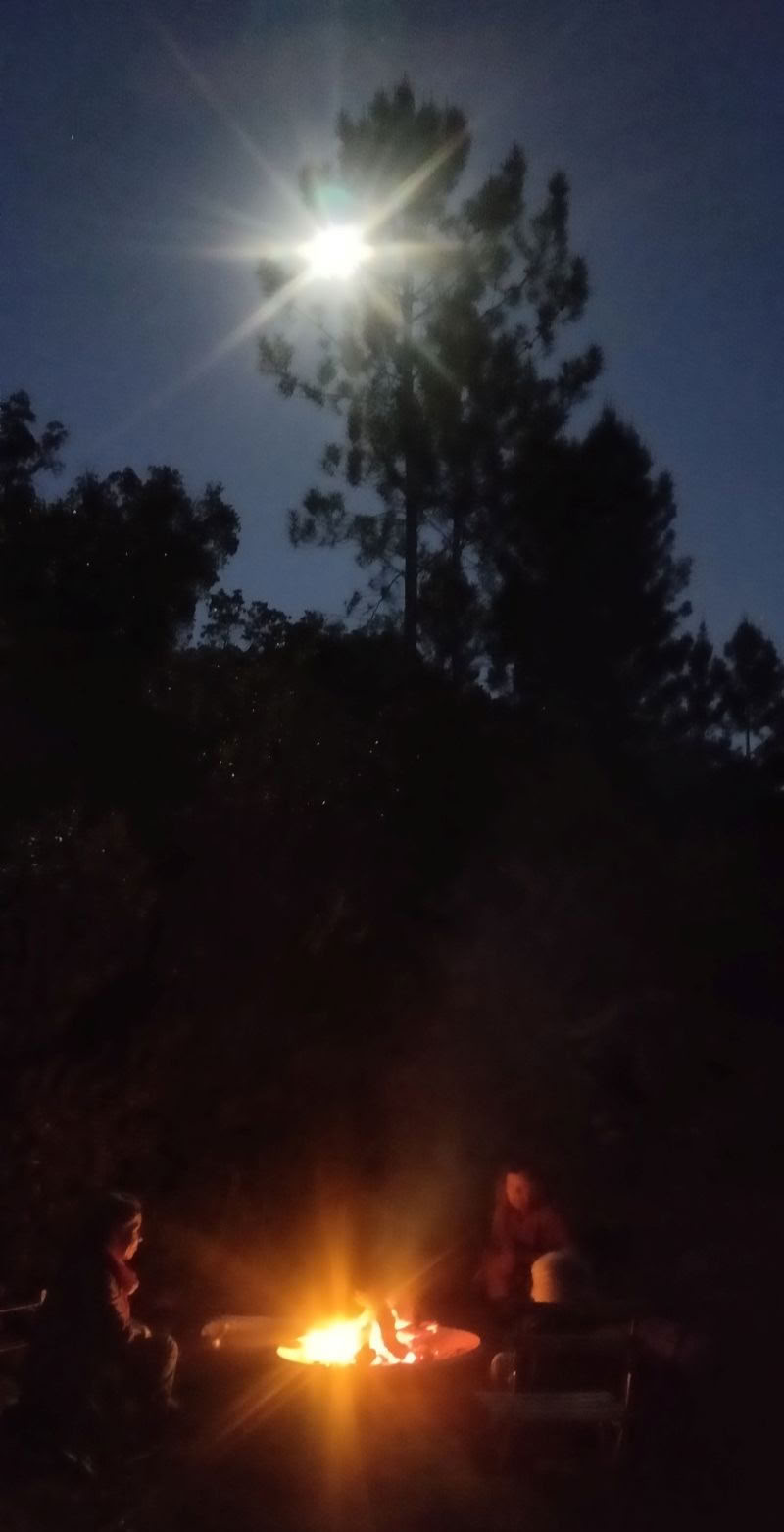 The Phoenix Rises - Un Retiro de Vision Quest