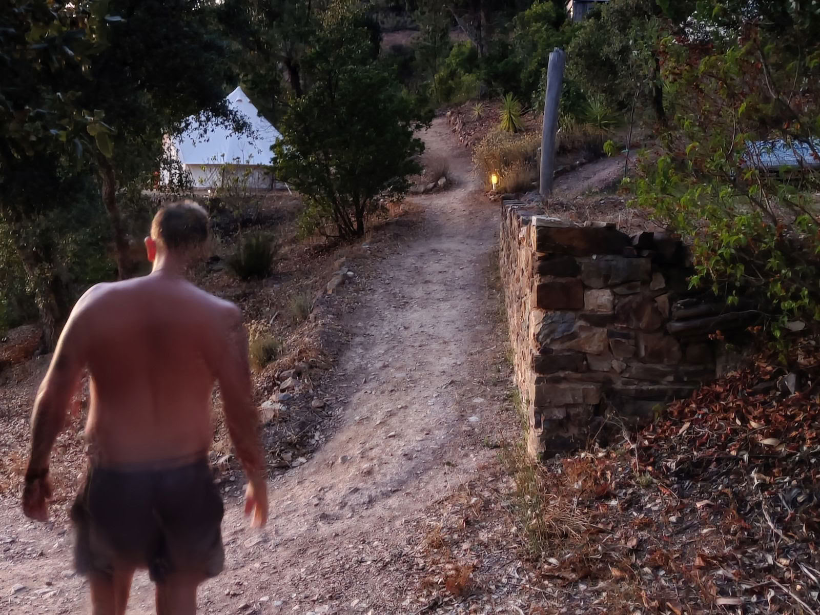 The Phoenix Rises - Un Retiro de Vision Quest