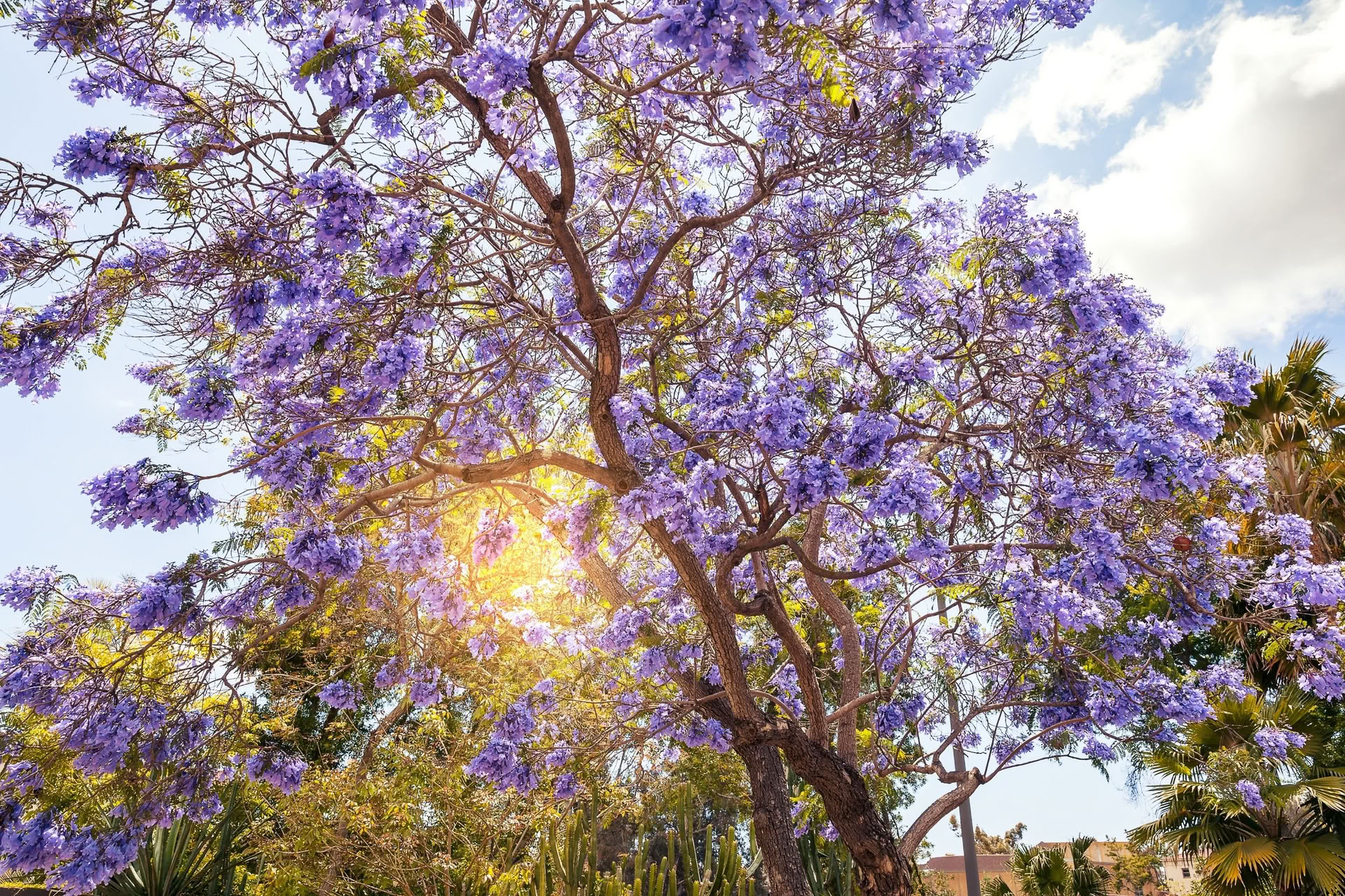 Nourish Your Soul Retiro de Bienestar