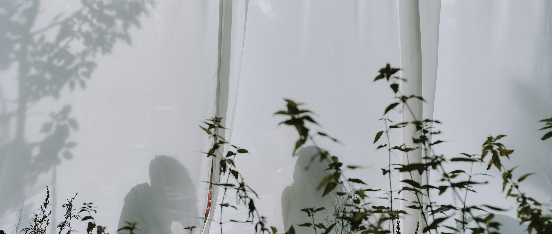 Wild Breathwork Berlin – Viaje de Breathwork Bajo el Cielo Abierto