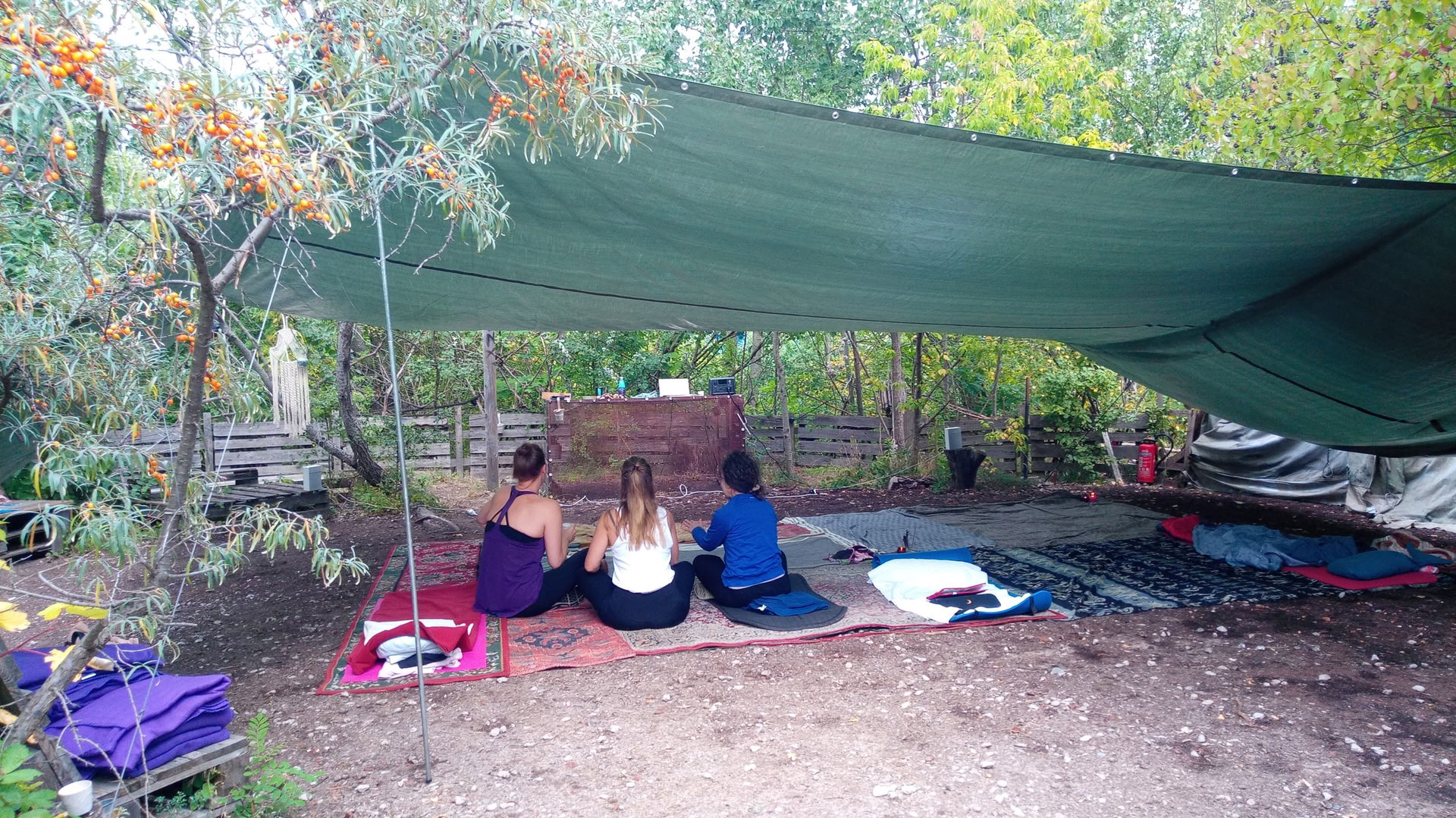 Wild Breathwork Berlin – Viaje de Breathwork Bajo el Cielo Abierto