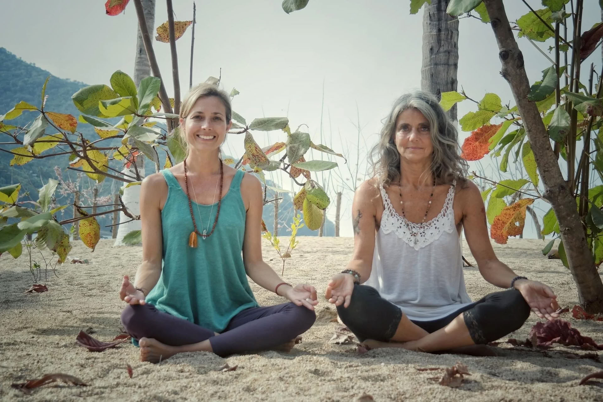 Heal Subtle Forces Within: Reinicio y Recuperación Retiro de Bienestar