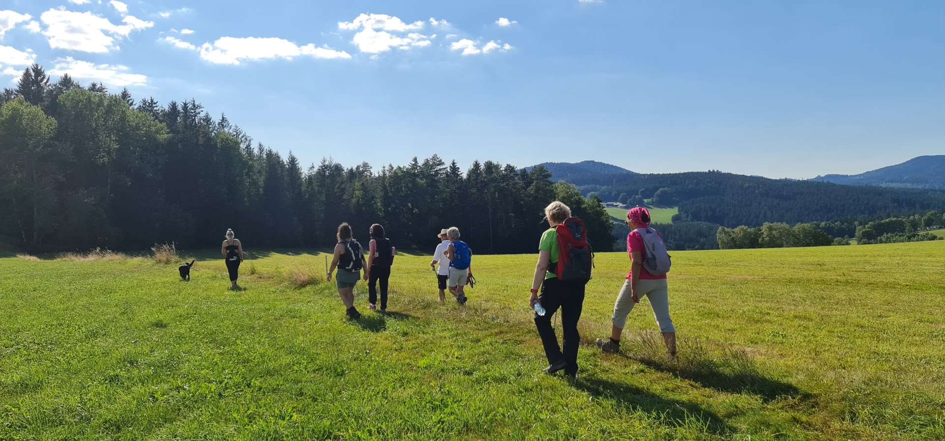 Yoga-Detox-Retiro with Hiking at Kloster Waldbreitbach