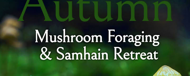 Retiro de recolección de otoño de Samhain