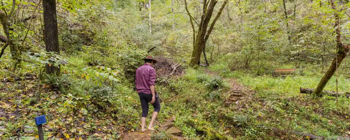 Yoga & Hiking Retiro | Smoky Mountains Yoga Retiro — Seven Springs