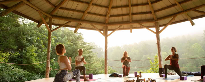 Formación de Profesores de Yoga Yin y Somática | Smoky Mountains — Seven Springs