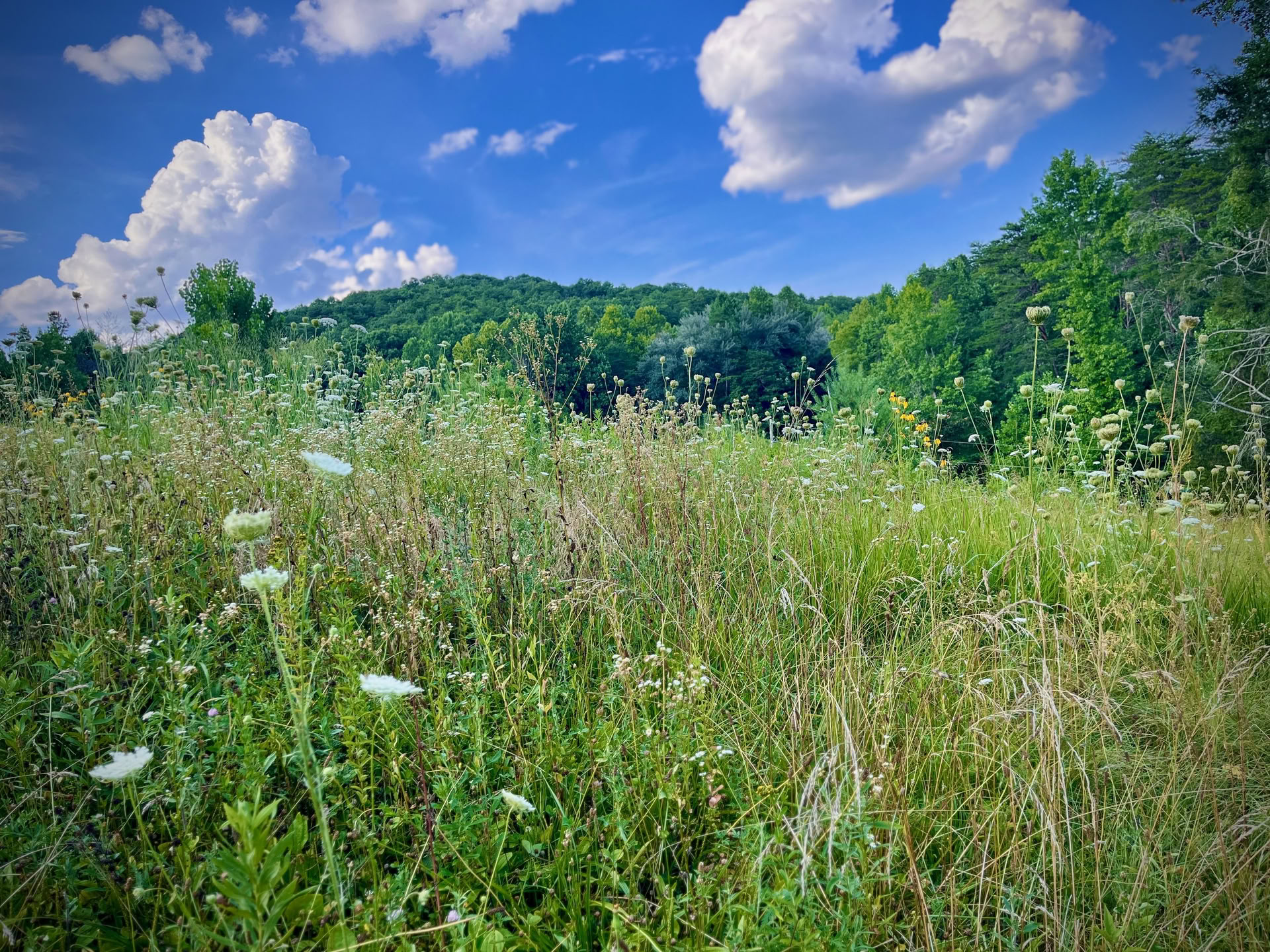 Unplug Retreat