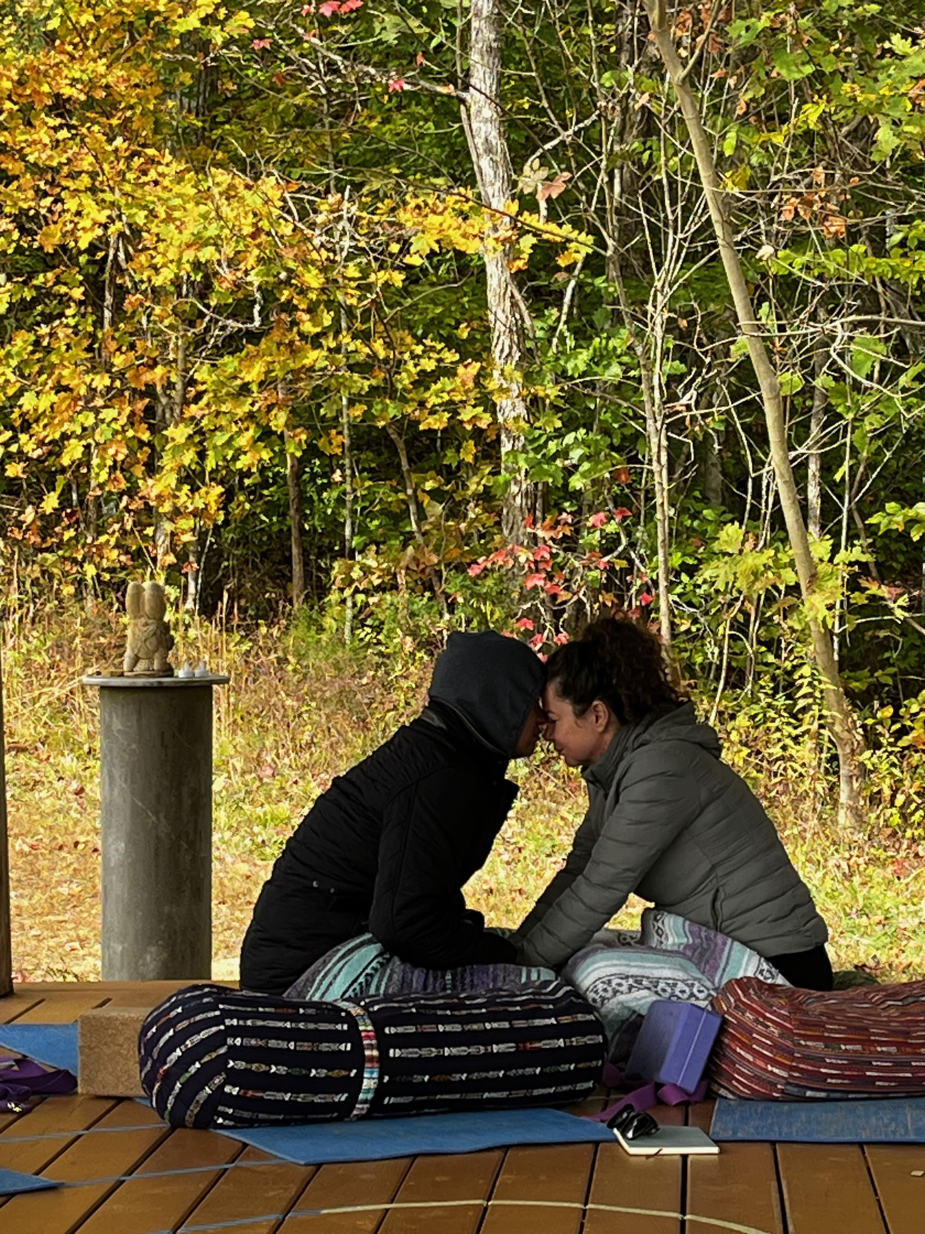 La reunión para parejas en Smoky Mountain