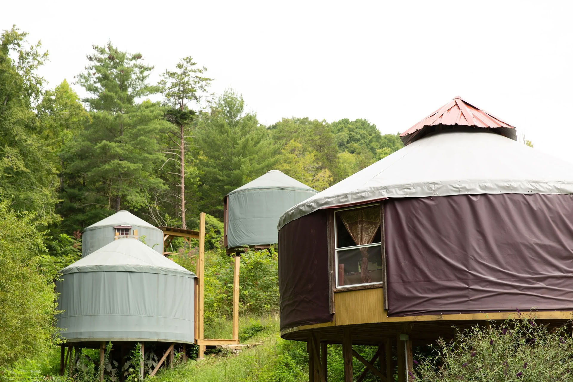 La reunión para parejas en Smoky Mountain