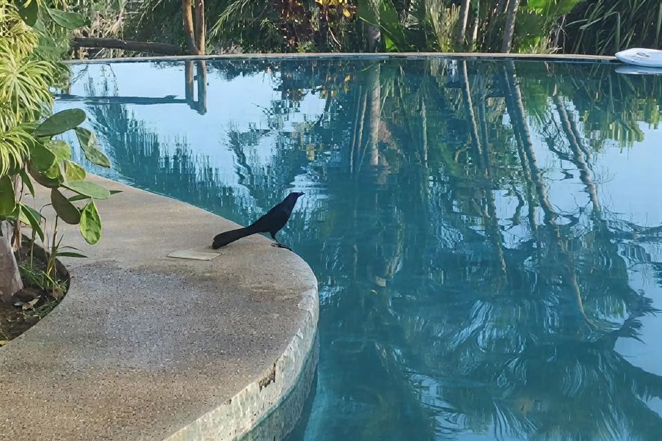 8 días de retiro de yoga y meditación