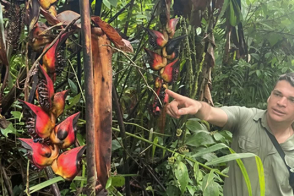 5 días / 4 noches Retiro de yoga y meditación en Tamarindo, Costa Rica