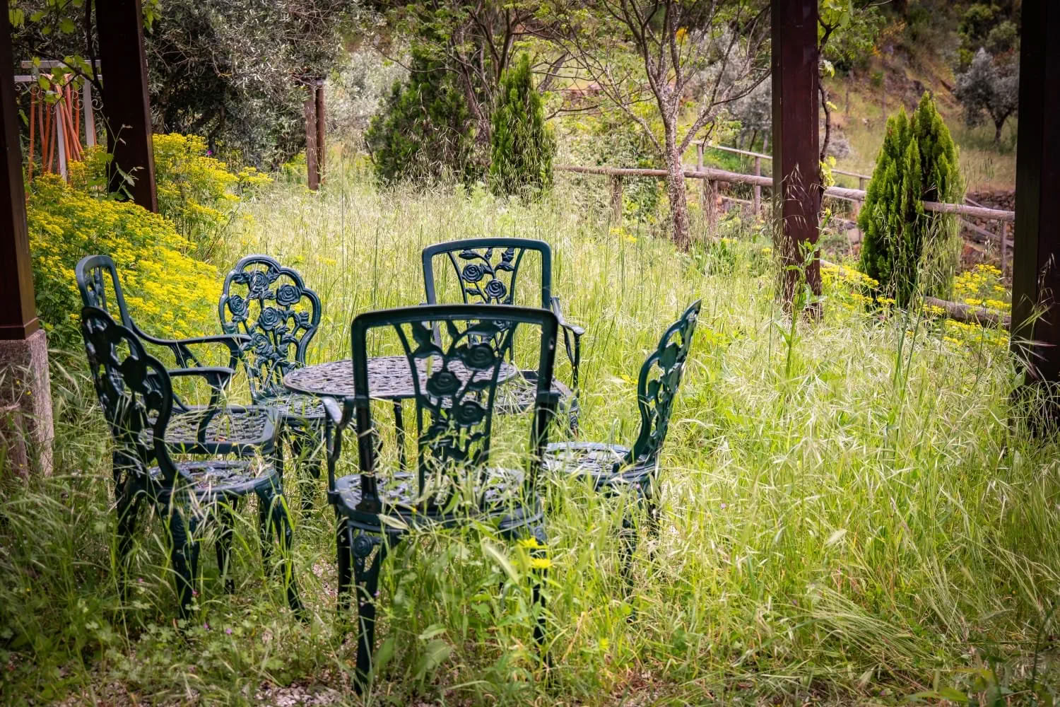 Heartful Yoga, Mindfullness and Walking Retiro