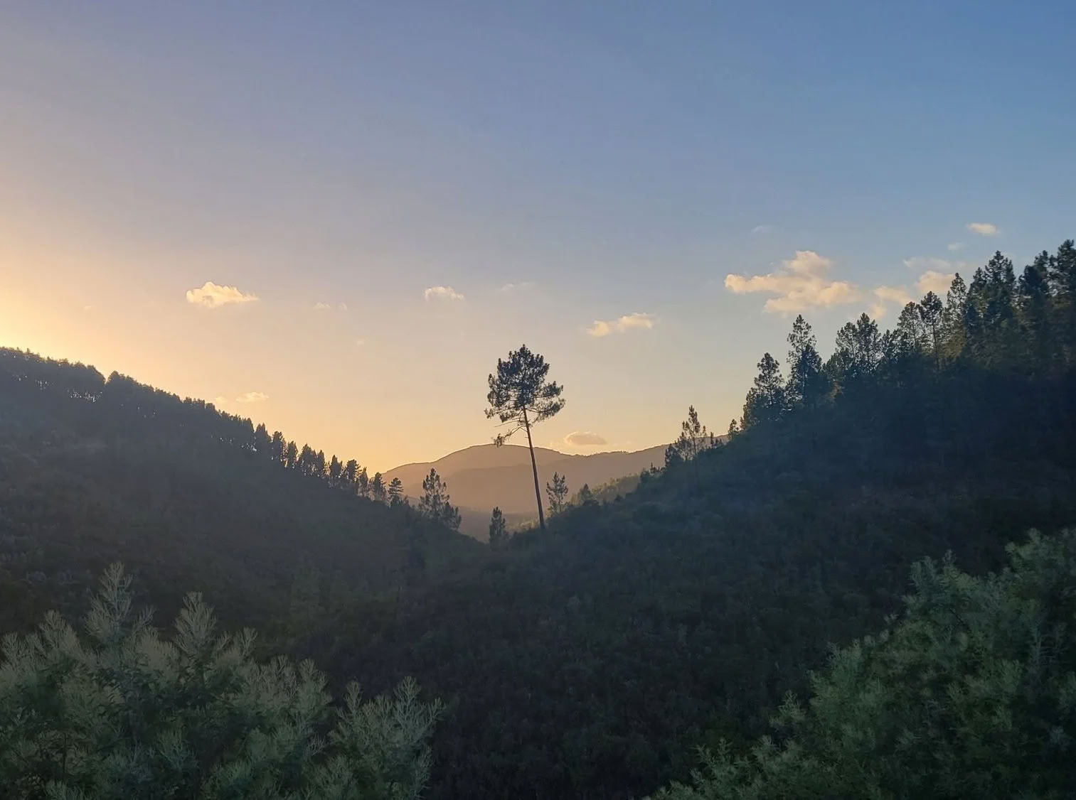 Yoga Retreat with Lili Koeba
