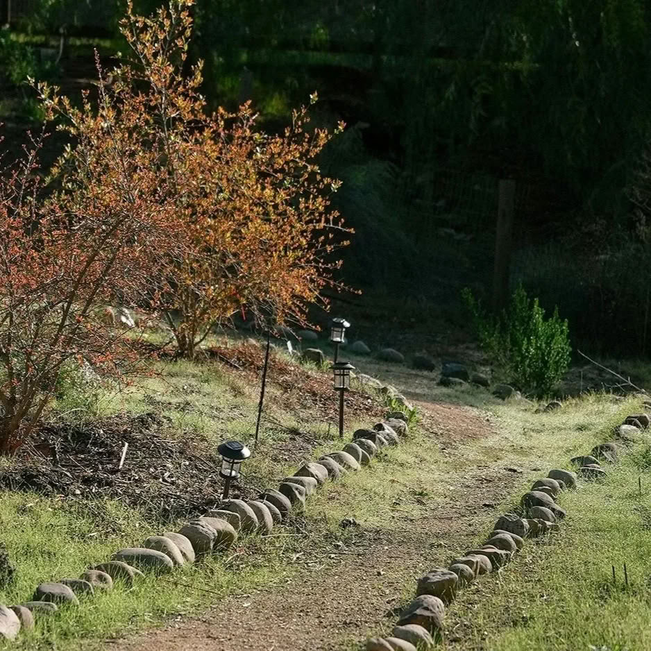 Tanaduk Garden Day — Pure Land Farms