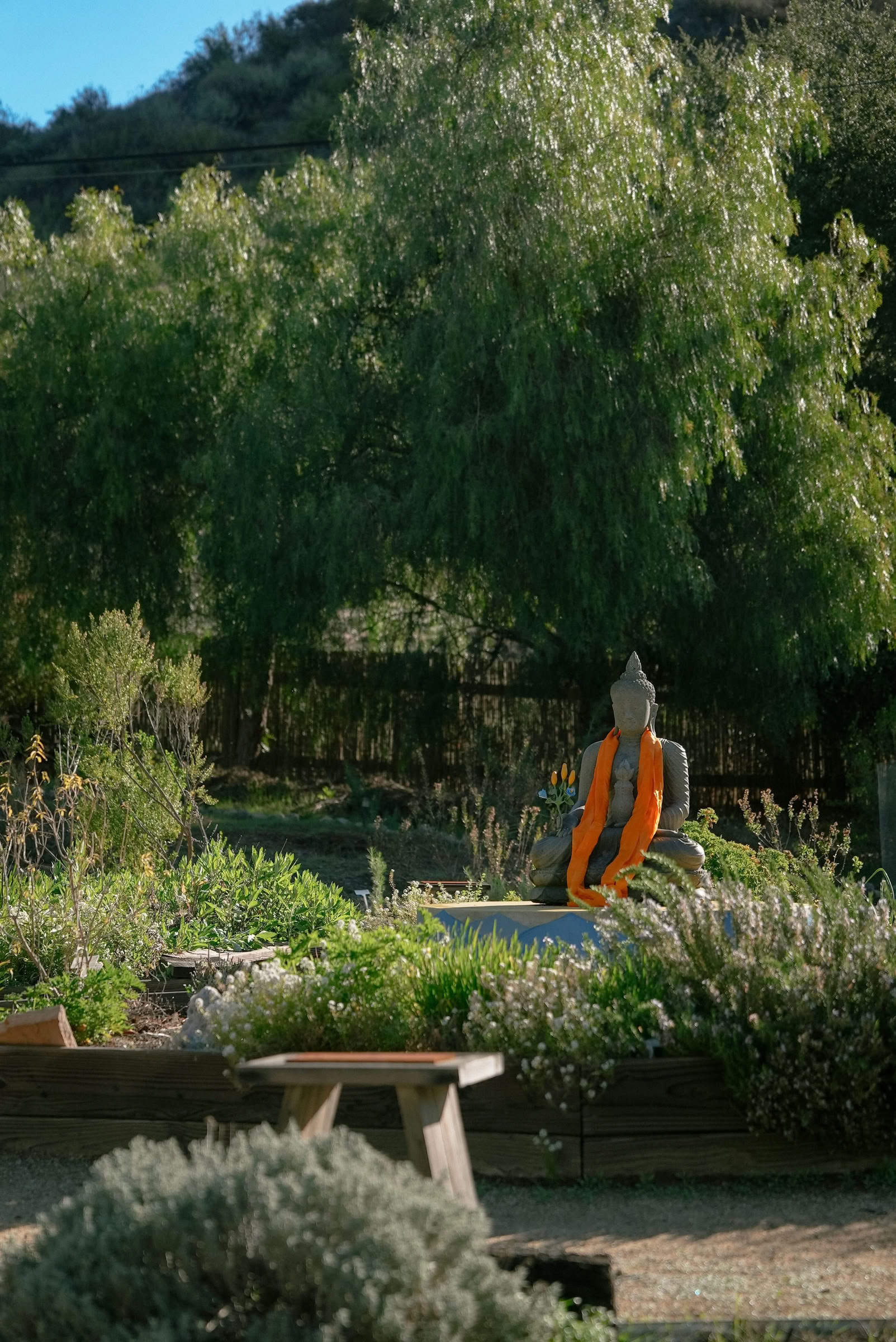 Tanaduk Garden Day — Pure Land Farms