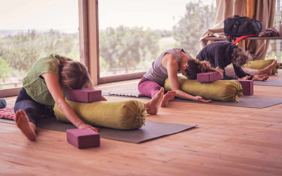 Isvara Yoga Retiro - 3rd Edition