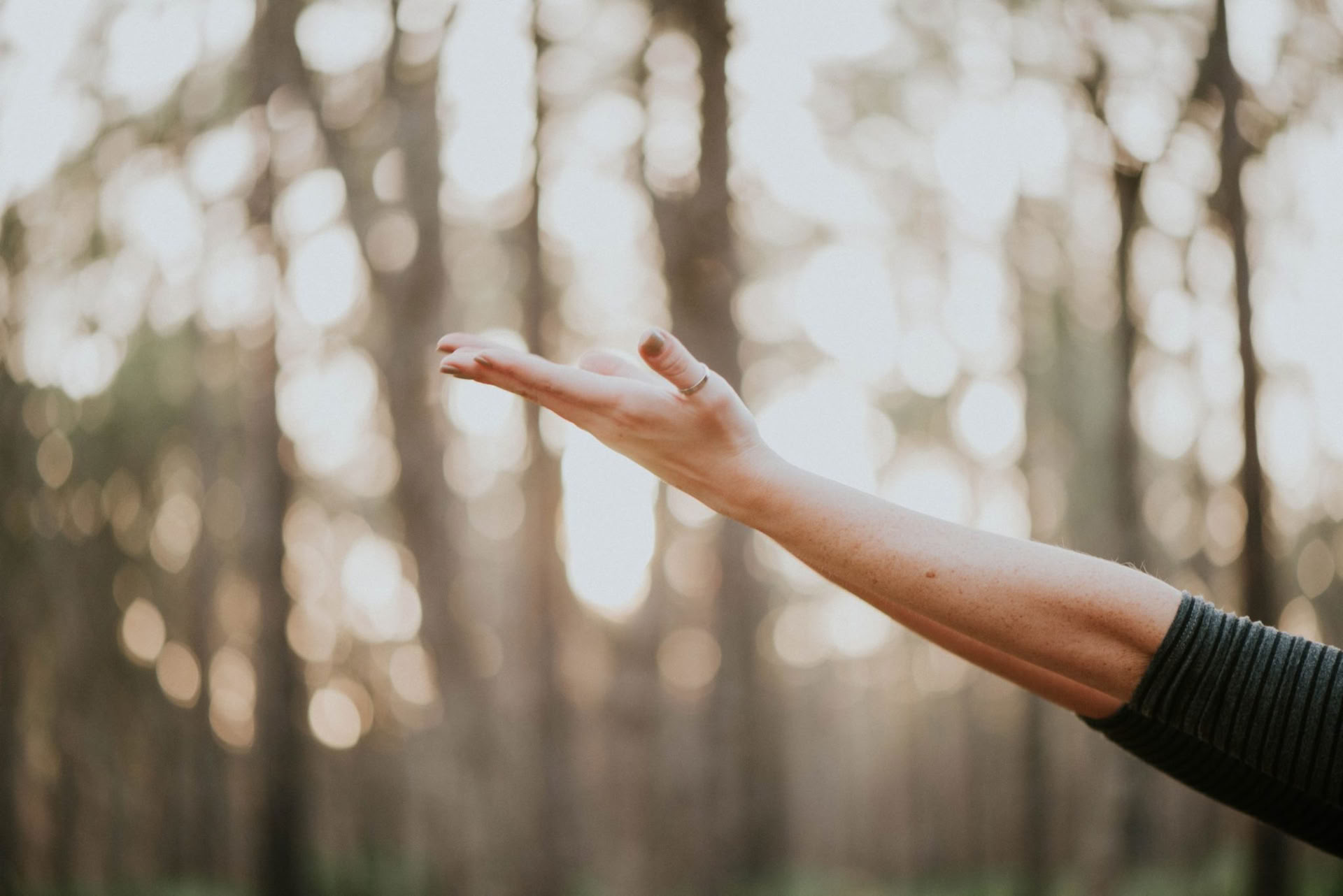 Wellness Within: Fin de semana de retiro de movimiento consciente y meditación