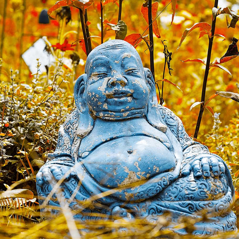 Meditación de mindfulness: una introducción