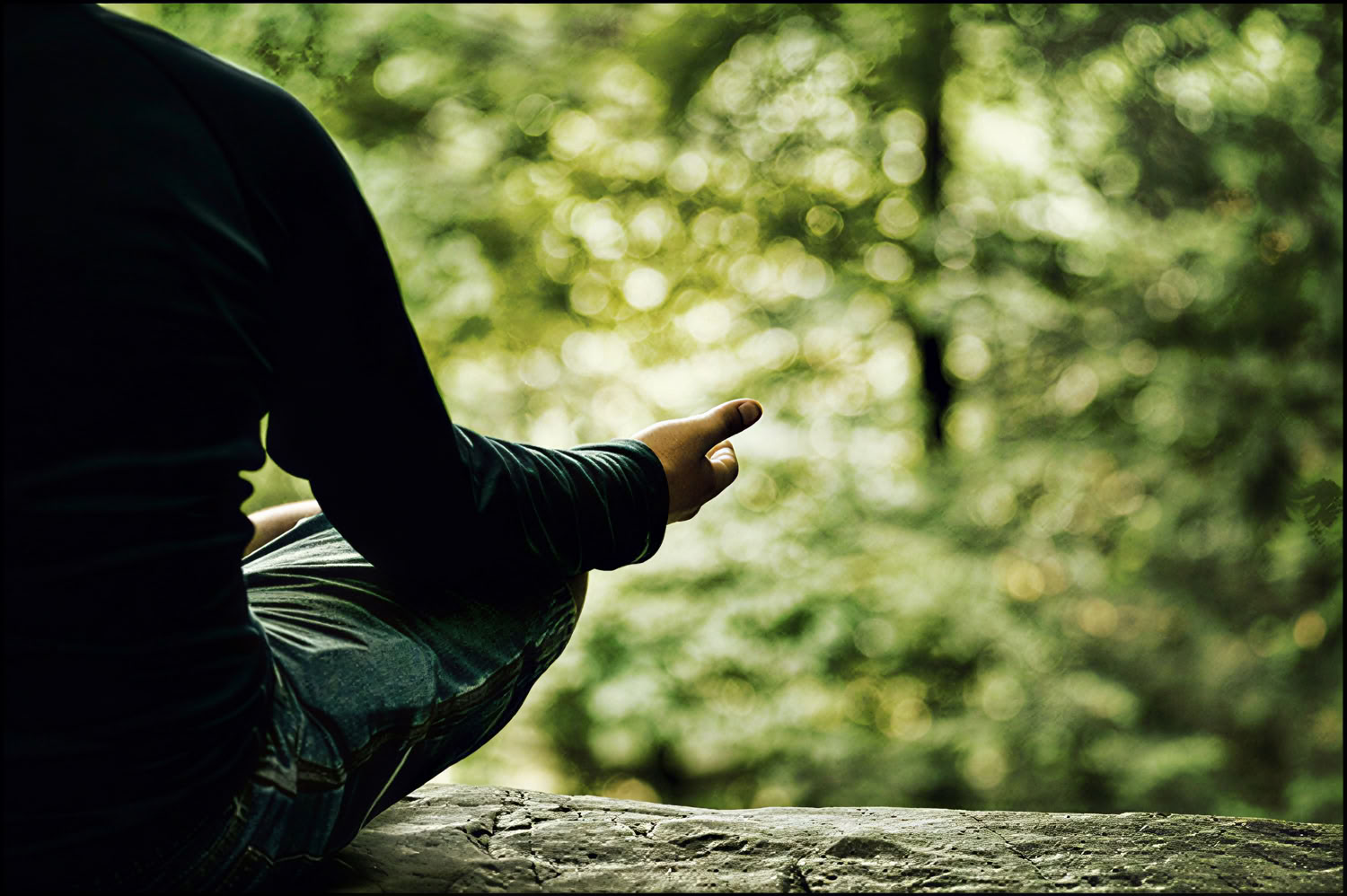 Silent Meditation Retreat con Liz Frost: estancia de 5 noches