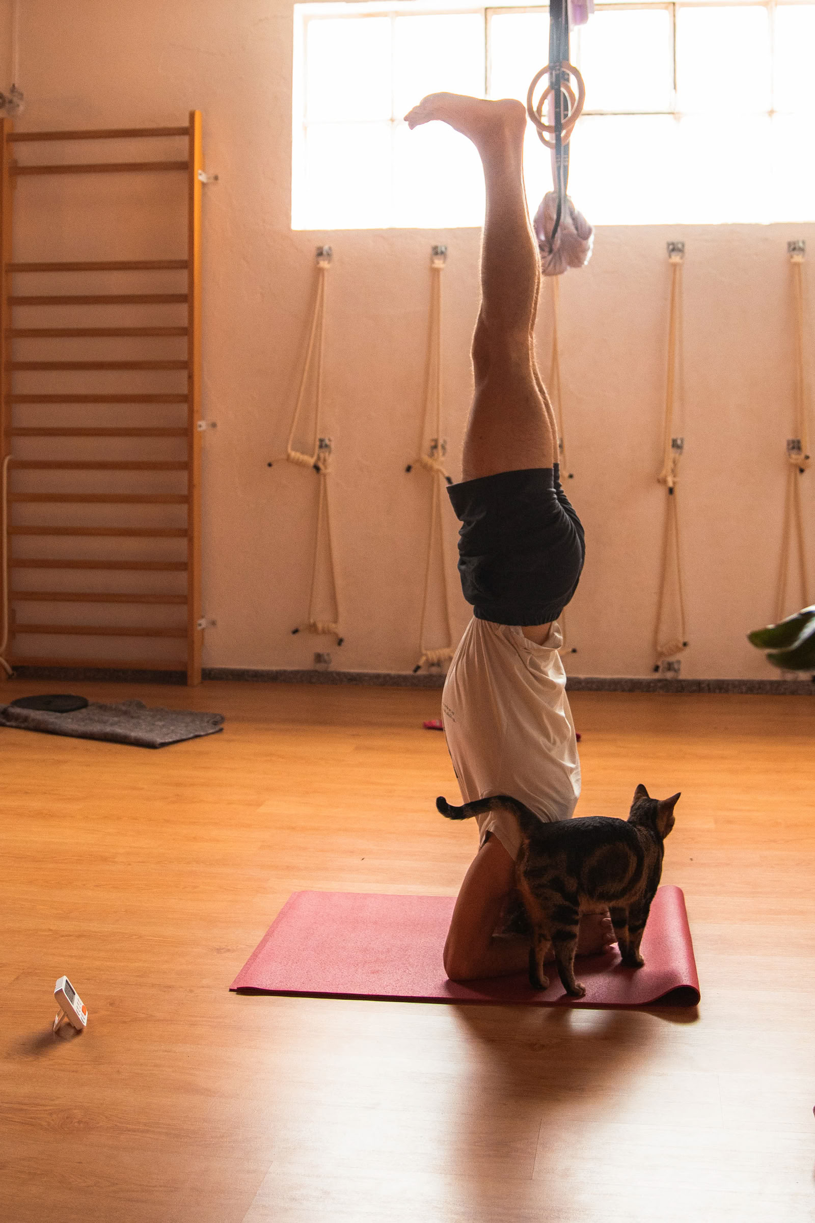 Taller La vida secreta de la fascia