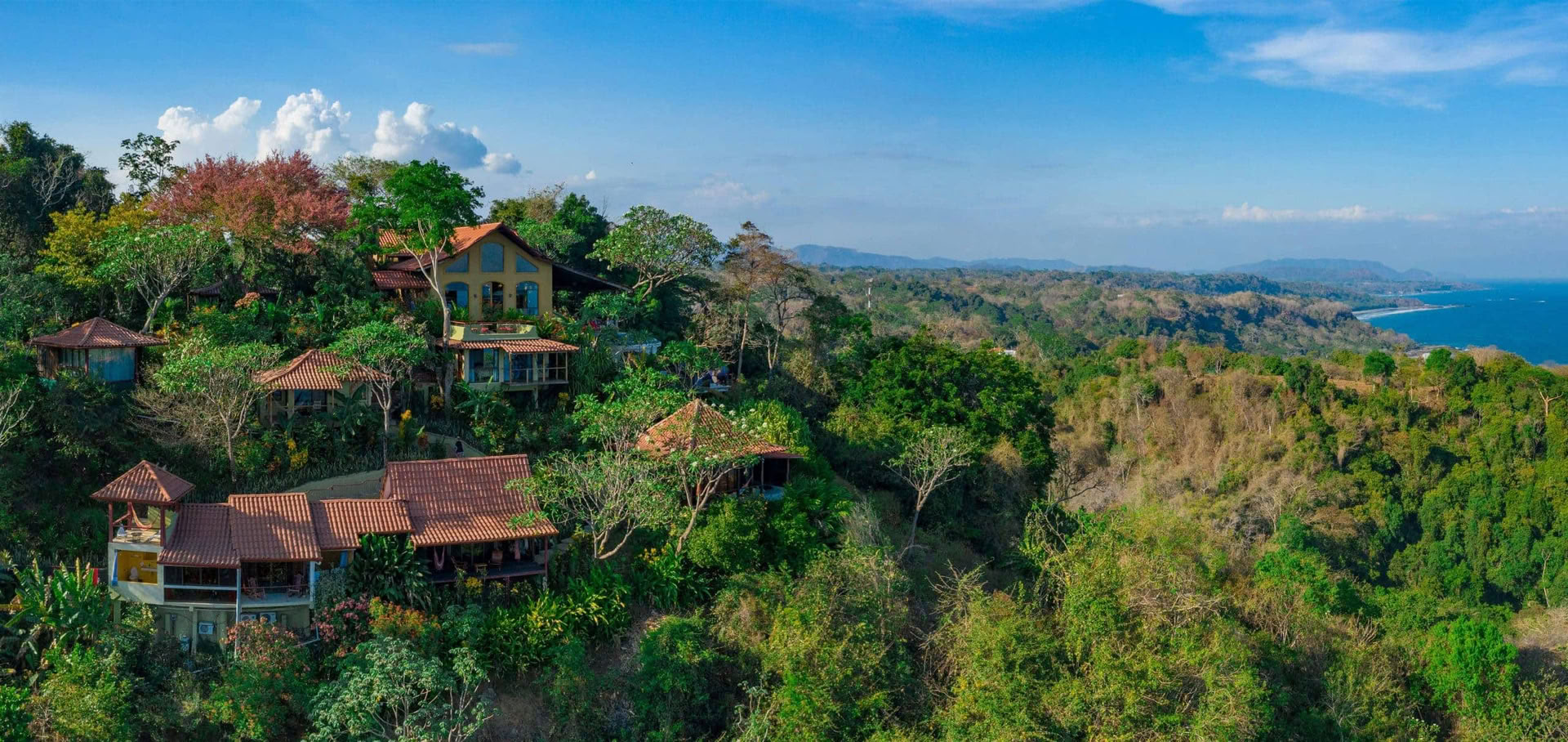 Protect Your Peace Retiro – Terri McDermott