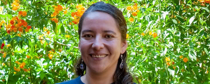 Essential Wellness Retiros at Willka T’ika