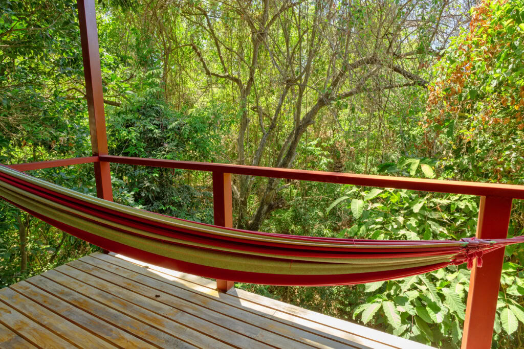 Ayurvedic Yoga Retiro – Chloe Haddad