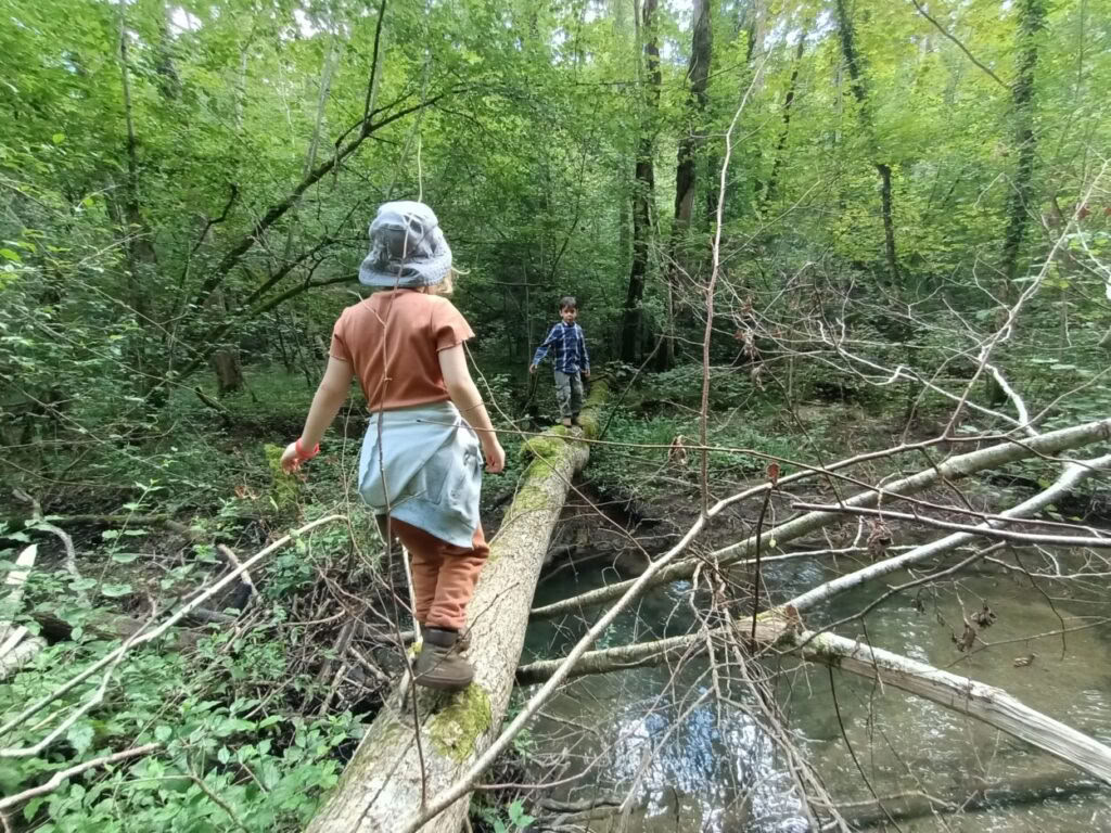 Acerca de hobbits, elfos, enanos, humanos y magos: semana infantil con Richard