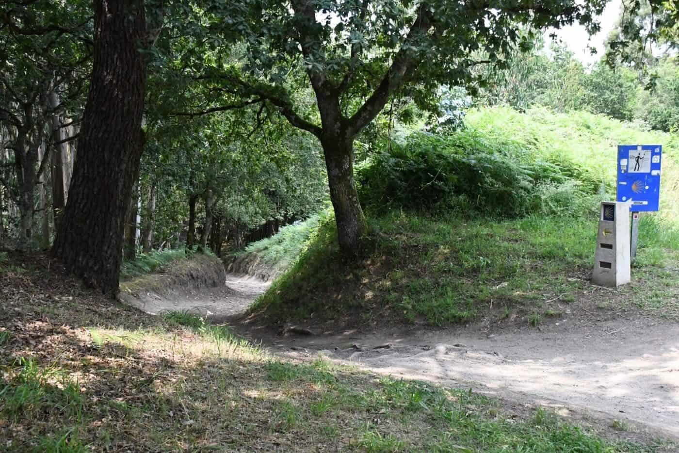 Camino de Santiago Portugués desde Tui en 5 etapas, clase comfort
