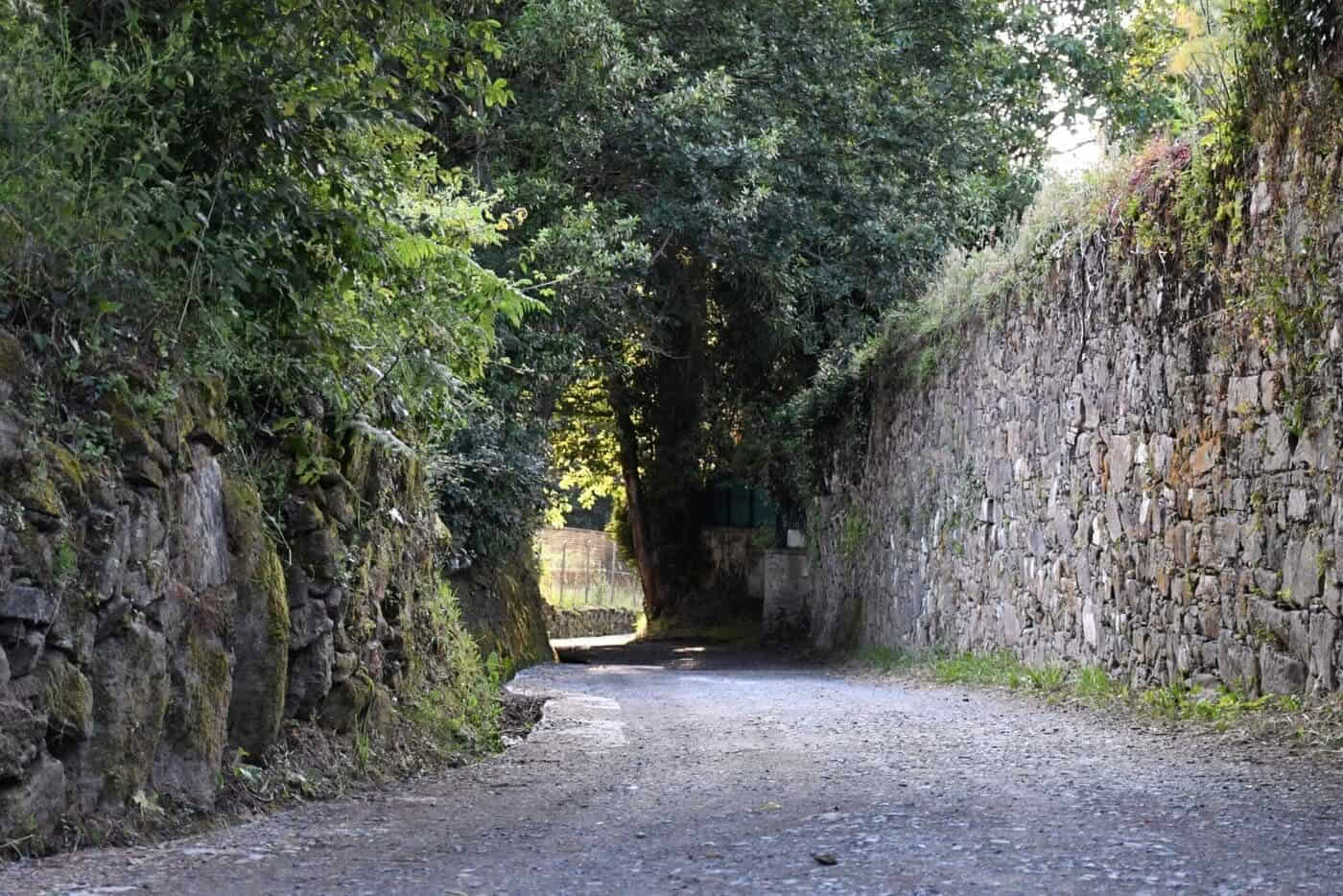 Camino Primitivo desde Lugo en 5 etapas, clase comfort