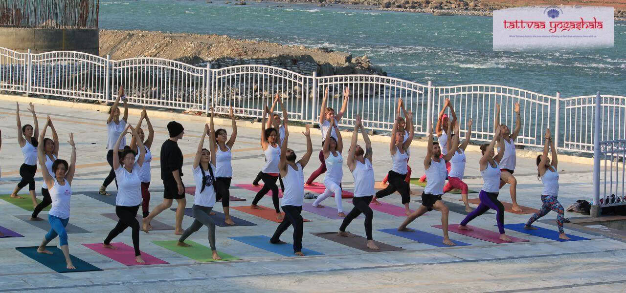 Formación de Profesores de Yoga Multiestilo