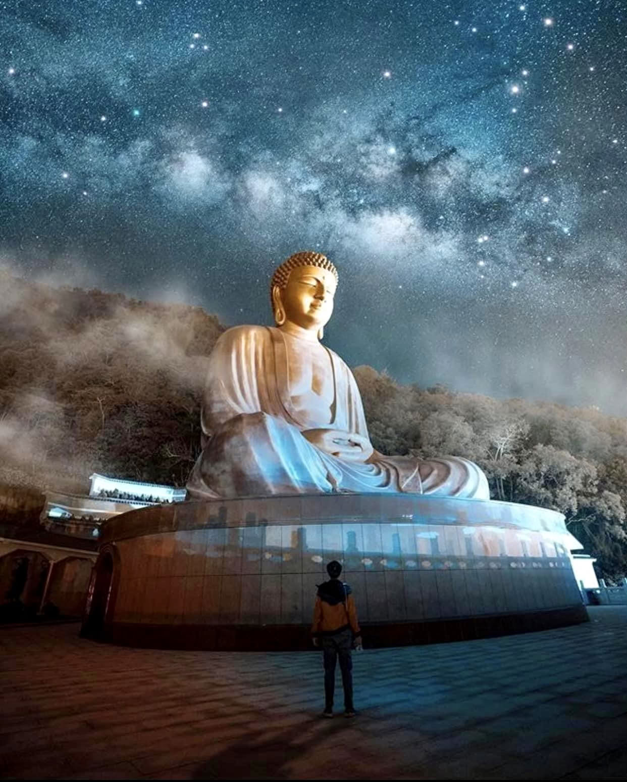 Awakening Within the Dream Retiro de Yoga del Sueño de 10 Días