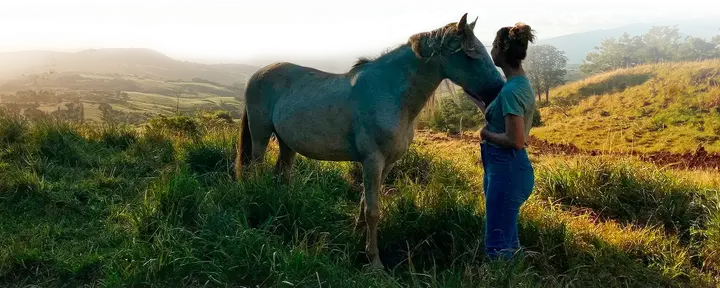 Sanación de la frecuencia del corazón con caballos